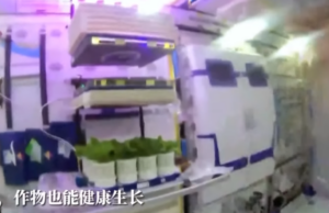 (ВИДЕО) Кинески астронаути произведоа зеленчук во вселената