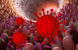 СЗО го прогласи сојот JN.1 на Ковид-19 за „варијанта од интерес“