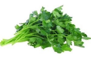 Тајната на здравјето е во магдоносот