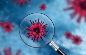 СЗО: Новиот вид на коронавирус претставува низок ризик за здравјето на луѓето