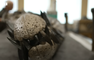 (ВИДЕО) Фосилни остатоци на огромно морско чудовиште пронајдени во Англија