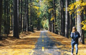 Одење после оброк против надуеност