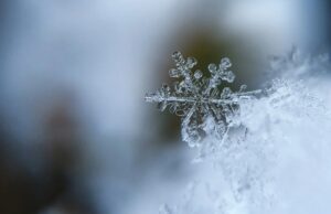 Дали знаете која е најголемата измерена снегулка?