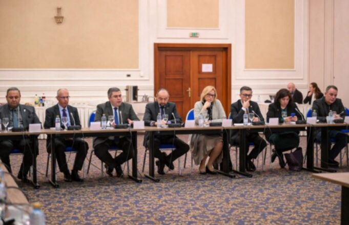 maricic nacionalna strategija