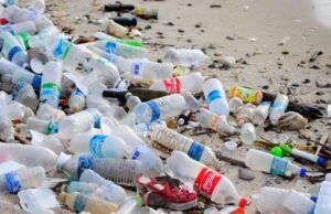 Шише вода содржи 240.000 парчиња нанопластика