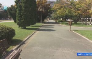 Зеленилото придонесува за посилни коски кај децата