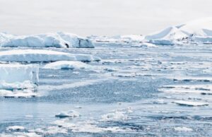 Осамена поларна мечка на санта мраз: Фотографијата која го направи британскиот фотограф најдобар на светот