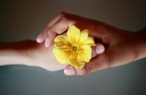 Психологија на бои: Како се поврзани вашата личност и омилената боја