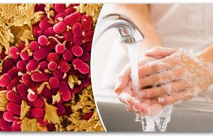 ИЈЗ: 12 деца се затруле во градинка во Берово