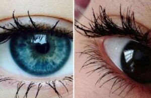 Очите говорат за проблемите со срцето