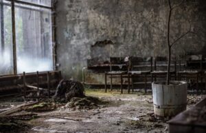 Необични црви од Чернобил се клучот за генетска отпорност на радијација