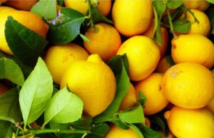 Домашно средство за чистење бањи и кујни