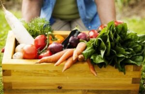 Во која храна ги има трите минерали најважни за тироидната жлезда?