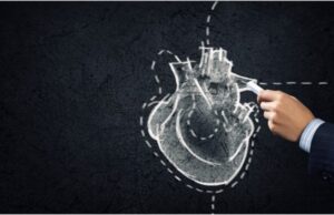 Аортата е дефинирана како посебен орган во човечкото тело