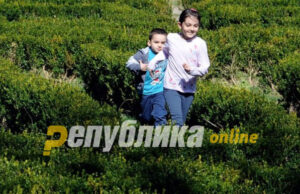 30,5 отсто од децата од шест до девет години во Македонија живеат со зголемена телесна тежина, дебелината е почеста кај момчињата, покажува извештајот на ИЈЗ