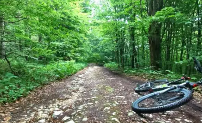 belasica velosipedisti