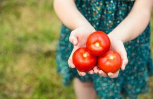 Зошто е корисно да се јадат домати