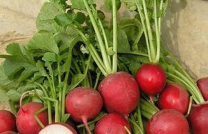 Оваа храна е способна значително да го подобри вашето здравје