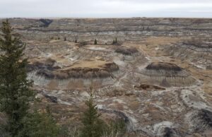 Пронајдениот необичен череп во Кина можеби припаѓа на мистериозниот хибрид „Човек змеј“