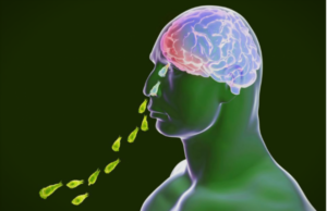 На светот му се заканува здравствена катастрофа