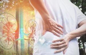 10 проценти од жителите во Македонија имаат бубрежна слабост, но многу помал број завршуваат на дијализа