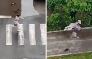 Врани напаѓаат луѓе во Србија