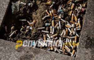 ИЈЗ: Македонија на врвот на листата земји со активни пушачи