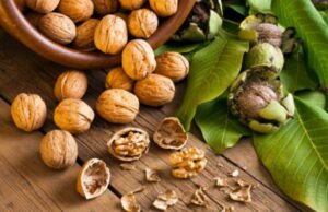 Оревите помагаат во превенција на Алцхајмерова болест