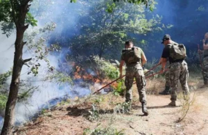 Армијата и два хеликоптера ангажирани во гаснењето на пожарот во неготинско
