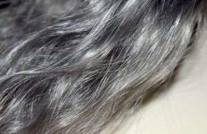 Конечно знаеме зошто стресот ја побелува косата