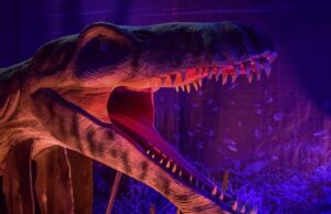 Скелет на огромно суштество од мочуриштата пронајден во Намибија