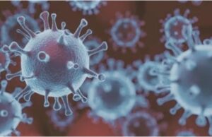 Мистериозен вирус кој некогаш бил ограничен на регионот на Амазон мутираше и во поопасна верзија почна да се шири: Се акумулира во мозокот и црниот дроб