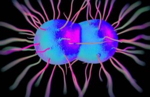 Гонорејата сè поотпорна на лекови, во иднина може да стане неизлечива болест