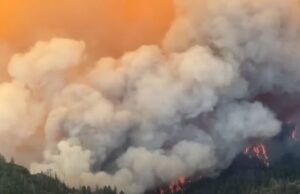 Чадот од шумските пожари може да го зголеми ризикот од деменција