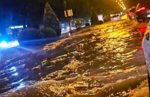 (Видео) Силно невреме во Хрватска корнeше дрвја и поплави објекти