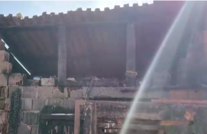 (ВИДЕО) Шестчлено семејство загина во пожар во Нови Сад