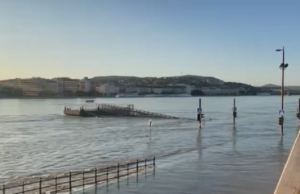 Расте нивото на Дунав во Србија, пикот се очекува в среда во Војводина