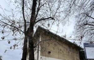 Клиниката за наврологија не ги регистрирала донациите на лекови за ретки болести, покажа извештајот на ревизорите