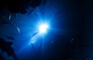 Научниците ја открија вистината зад мистериозниот и морничав „вонземски“ звук во Маријанскиот Ров