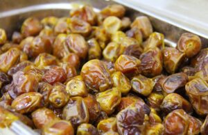 Илјадници години се дел од исхраната: Зошто УРМИТЕ се толку здрави?