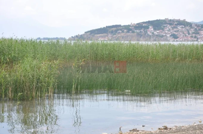 20240927113101_big_730x400_81