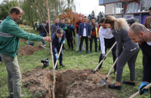 Засадување на 946 дрвја со поддршка од ЕУ – чекор кон подобрување на квалитетот на воздухот во Тетово