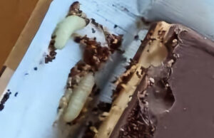 Црви пронајдени во бајадерата Краш во Хрватска