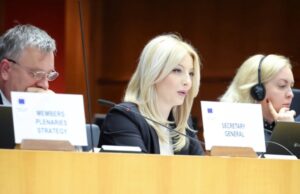 Арсовска како главни проблеми на локалната власт ги посочи политичкото мешање и ограничените финансии