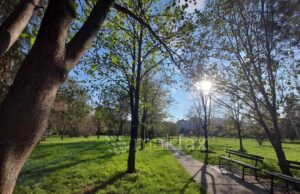 Утрото студено, преку денот претежно сончево