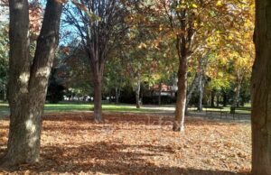 Наутро студено, преку денот сончево со умерена локална облачност