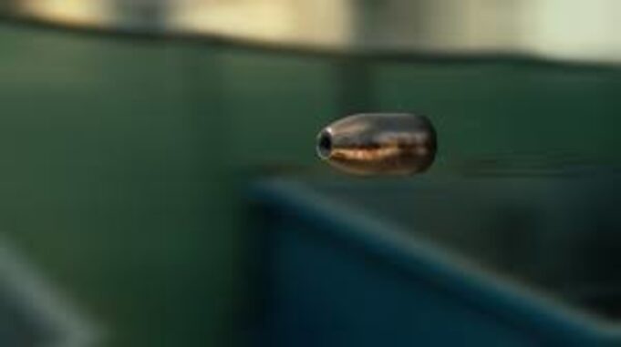 gnjrgera-183916-204601