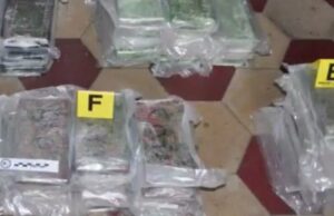 Педесет килограми кокаин вреден 5 милиони евра се пронајдени во босански камион во Италија