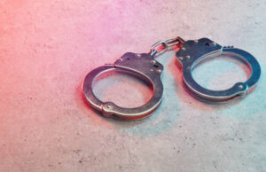 Приведен крадец во гостиварско, следува пријава