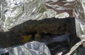 Во ауди криел 50 килограми марихуана